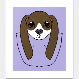 Cute Beagle Puppy in a Pocket Posters and Art